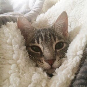 Meet your Posher, Alicja